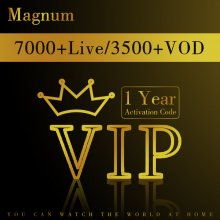 20 Pieces MAGNUM Panel for Evybuy IPTV VIP resellers